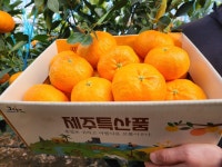 산지출고 만감류의 여왕 레드향 실속형 가정용 선용물 1kg 2kg 3kg 5kg : 소농의 정