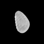 안경 미끄럼방지 코받침 나사형 2P : 네스트마켓