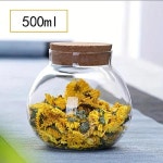 밀폐용기 반찬기 코르크 스토퍼 포함 유리 차 항아리 원형 밀폐 음식 보관 주방 오거나이저 500ml16.91oz 13pc : 두루두루두루팜