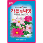가든 빅스타시계 코스모스 꽃씨앗 50립 일년생 꽃씨 종자 : 양동씨앗마켓