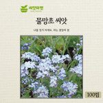 가든 물망초 꽃씨앗 100립 이년생 꽃씨 종자 : 양동씨앗마켓