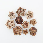 앵무새 천연 장난감 마호가니 나무별 (10개) : 아가새농장