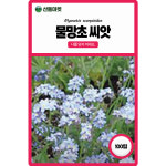 산들마켓 물망초 꽃씨앗 100립 잔잔한 매력이 있는 이년생 꽃씨 종자 : 산들마켓샵