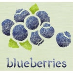 초등 블루베리 만들기 미술 스텐실 참여수업 노인 유치원 어린이집 5학년 초1 : 판다상