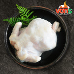 [본스] 국내산 생닭통닭백숙용 1100g 1마리 : 신세계라이브쇼핑