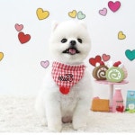 턱받이 강아지 스카프 보타이 타이 머플러 넥타이 패션 하트 : 열한번째