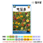헬프팜 백일홍 페르시안카펫 150립 꽃씨 씨앗 종자 다농 : 헬프팜-help.farm