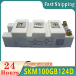SKM100GB124D 1 현장 : 현진17