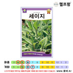 헬프팜 세이지 30립 꽃씨 씨앗 종자 다농 : 헬프팜-help.farm