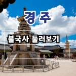 [불국사] 가족동반 경주 초등역사체험 교과연계 원데이 어린이 역사 도슨트 투어 신라역사 by 역사대장 : 아이고고