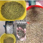 펠렛 기계 곡물 모이 톱밥 조류 축사 과립 돼지 먹이 125형단일기 : 스윗 몽구스 스토어