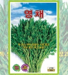영채 10g 엽채류 주말농장 과채류 토종채소 엽채소 야생나물 : 사이버가든