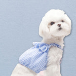 일상복 뉴델리 애완동물 애완 동물 의류 강아지 옷 고양이 반려 패션 펫 웨어 애견 애묘 : honey-cozy