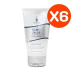 비오텀 실버 크림 150ml (Nr.33) X6개 : 네이쳐굿