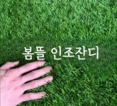봄뜰 인조잔디  베란다 매트 2x1m 1개 : 닥스마켓