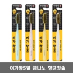 이가왕 5열 금나노 향균 칫솔 12개 / 약국판매용 : 진성헬스팜