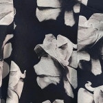 MARANT KOREA 원피스 여 S J3425 : 스카이빈티지