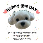 답례품 스티커 1p : 곡식이네 수제간식