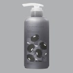 청미정 흑곡 샴푸 검은콩 샴푸 500ml : RECORD
