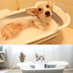 강아지 고양이 펫욕조 셀프 반려동물 목욕통 스파 접이식 욕조 : 엔씨테크