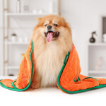 바비온 초극세사 수건 강아지 고양이 포켓 당근 펫타올 오렌지, S : 바비온코리아