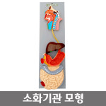 어린이집 초등학교 중학교 소화기관 모형 연구교구 탐구대회 원리이해 : SMART-MALL