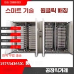 비햎 곰부화기 병아리분양 부화기 키우기 병아리 1584개 자동 일체형 기계 : 경자마케뜨