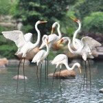 백로조형물 조각상 펜션 야외 관광 상업용 공원 1호 (0.85m) 보행 : 지오구대샵