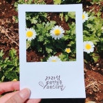 [부천] 담고 싶은 장소를 글과 함께 담아가는 캘리그라피 프레임 엽서 클래스 : 솜씨당