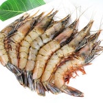 오씨푸드 자연산 대하(급냉)1kg(18미내외) : 피쉬세일