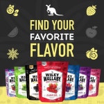 Wiley Wallaby 라이리 월라비 리코리시 680g 클래식 고급 부드러운 호주 블랙 사탕 트위스트 3팩 : 빈티지이즈마인