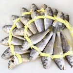 굴비다움 법성포 영광굴비2호(20미/1.4kg) : 피쉬세일