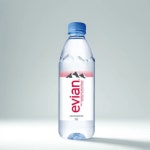 에비앙 500ml 24개 : Beauty Takes A