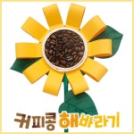 어린이 만들기교구 커피콩 해바라기 미술시간 돌봄활동 주일학교 노인 : 최신유행추천샵