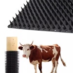 카우브러시 대형 축사 연질플라스틱 50개못 등긁개 양 가축 솔 말 마사지 : 글로벌싱지