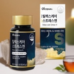 릴렉스케어 스트레스엔60정 : 소노빛