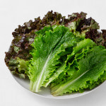 청상추 꽃상추 4KG 국내산 상추 샐러드 쌈채소 : 그램원