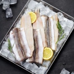 국산 여수 순살 바다장어 붕장어 아나고 손질 장어 구이 손질후 240g 1개 : 맛있는 보부상