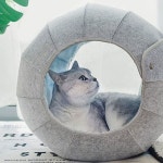 PET 고양이 하우스 애묘 접이식 고양이 숨숨집 반려묘 동굴 : 매일여기서