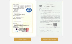 [정품인증] 라파402 VIP gold 공식판매처 식약처인증 가정용 레이저 조사기 퇴행성 관절염 통증치료 의료기기 : 하이리빙 샵