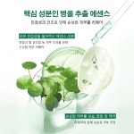 병풀 마스크팩 클렌징 마스크 버블팩 수분 케어/모공 클렌징 4gx12pcs : 행복가득 홈스토어