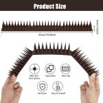 12Pcs 울타리 벽 스파이크 플라스틱 새와 비둘기 스파이크 도난 방지 등반 스파이크 고양이 구충제 스파이크 정원 해충 방제 : 더 조이스