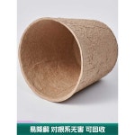 종이화분 6x6 50개  모종컵 컵화분 묘목컵 6x6cm 50개 : 윤씨 잡화점