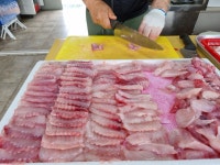 국산 목포 흑산도 숙성 삭힌 안삭힌 홍어 삼합 500g 250g 애 산지직송 푸른바다수산 : 지구생활