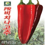 비치나고추 씨앗 (70000립) H0071 : 티홈
