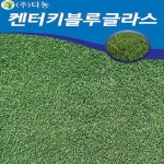 켄터키블루글라스 씨앗(20kg) H0049 : 티홈