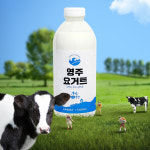 호수목장 소백밀크 플레인 수제 요거트 150ml/300ml/1000ml : FRESH THINK