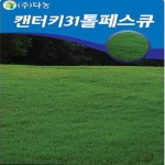 톨페스큐 씨앗(1kg) H0053 : 티홈