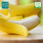 국산 유기농 바나나 농장직송 1.5kg 1박스 : 초록나소