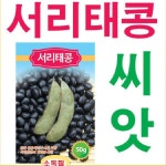 서리태콩 씨앗(50g) H0012 : 티홈